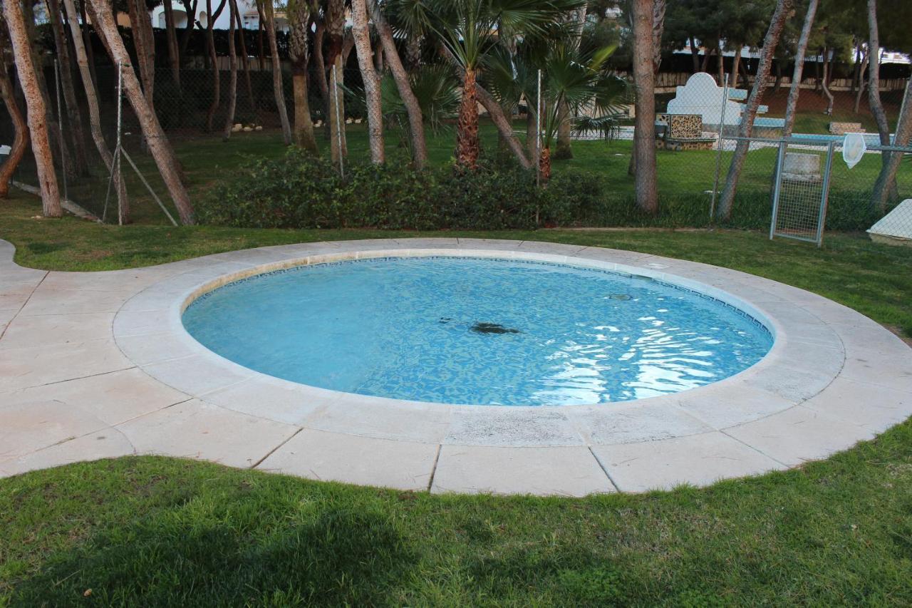 New Apartment With Sea View Of Andrew And Natallia Campoamor Εξωτερικό φωτογραφία